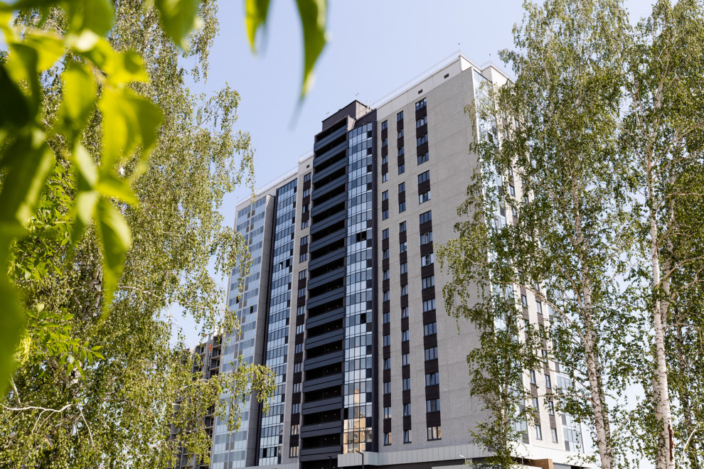 Базис (строительная компания)