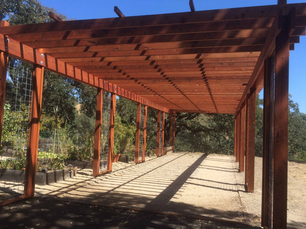 Großer, Halbschattiger Moderner Garten im Sommer, hinter dem Haus mit Sportplatz und Holzzaun in San Francisco