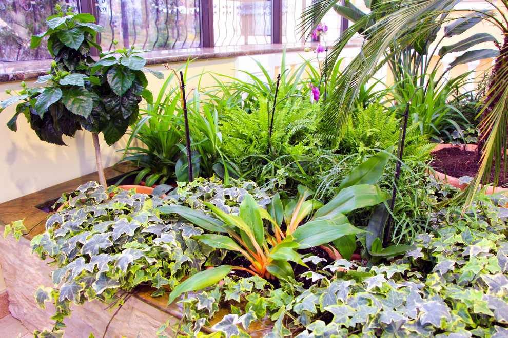 Мурманск, зимний сад