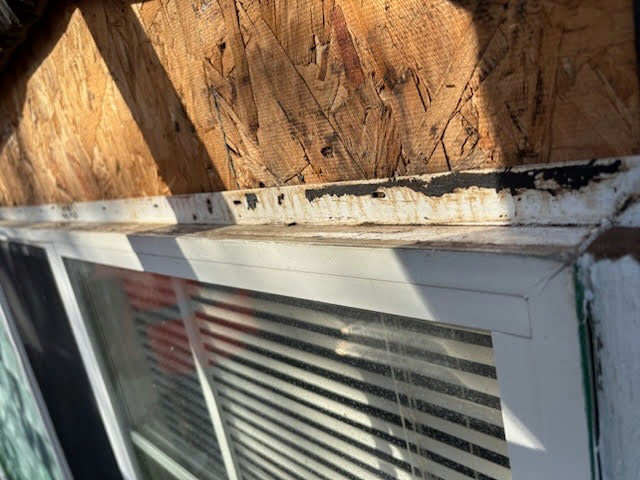 Exterior Siding Replacement