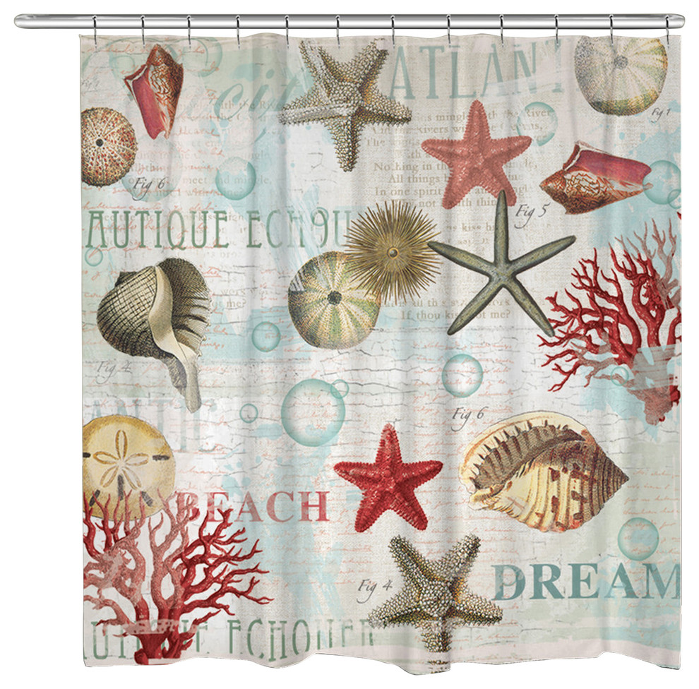 Dream Beach Shells Shower Curtain Beach Style Shower Curtains by
