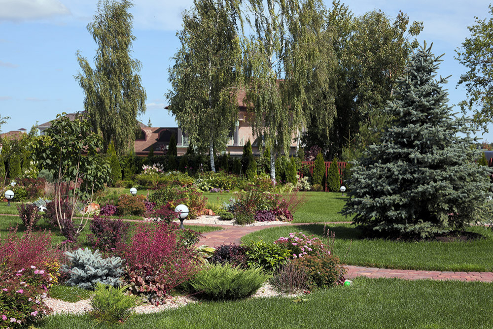 Ландшафтный дизайн приусадебного участка