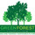green forest construction
