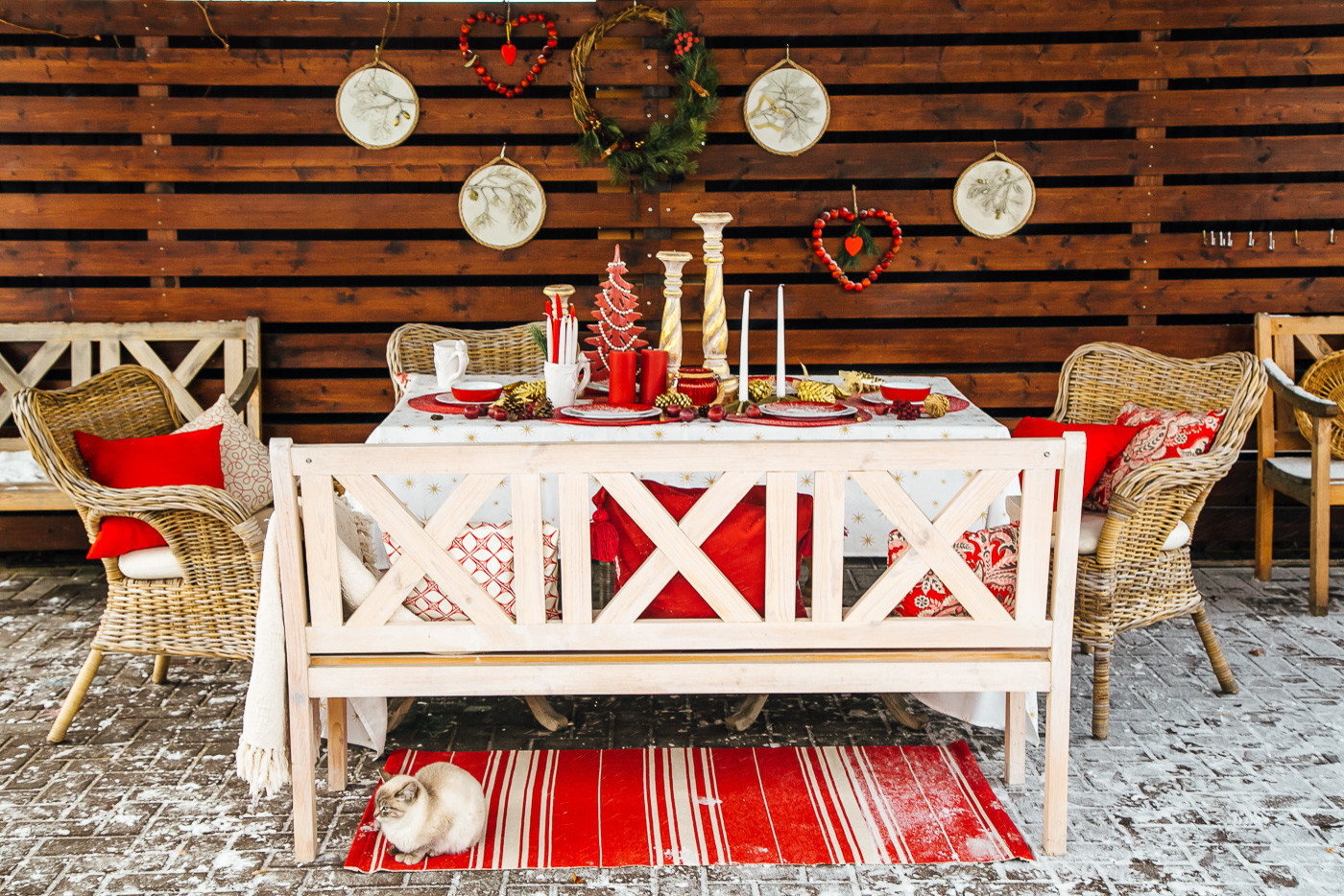 Зимний сад. Ощущение праздника!