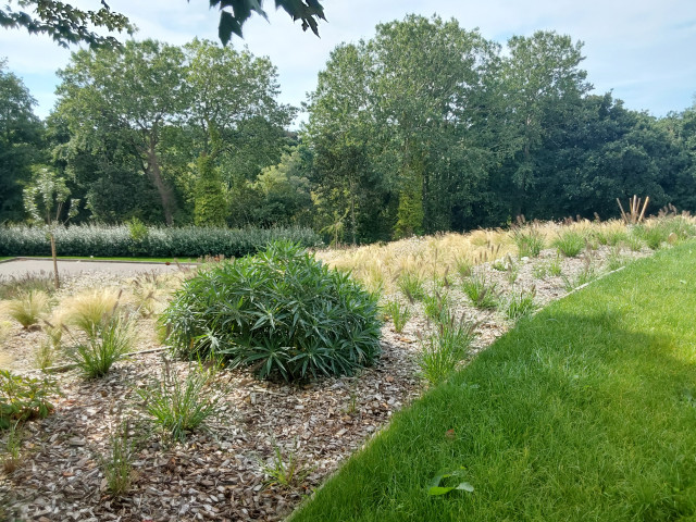 Jardin en paliers contemporary-garden