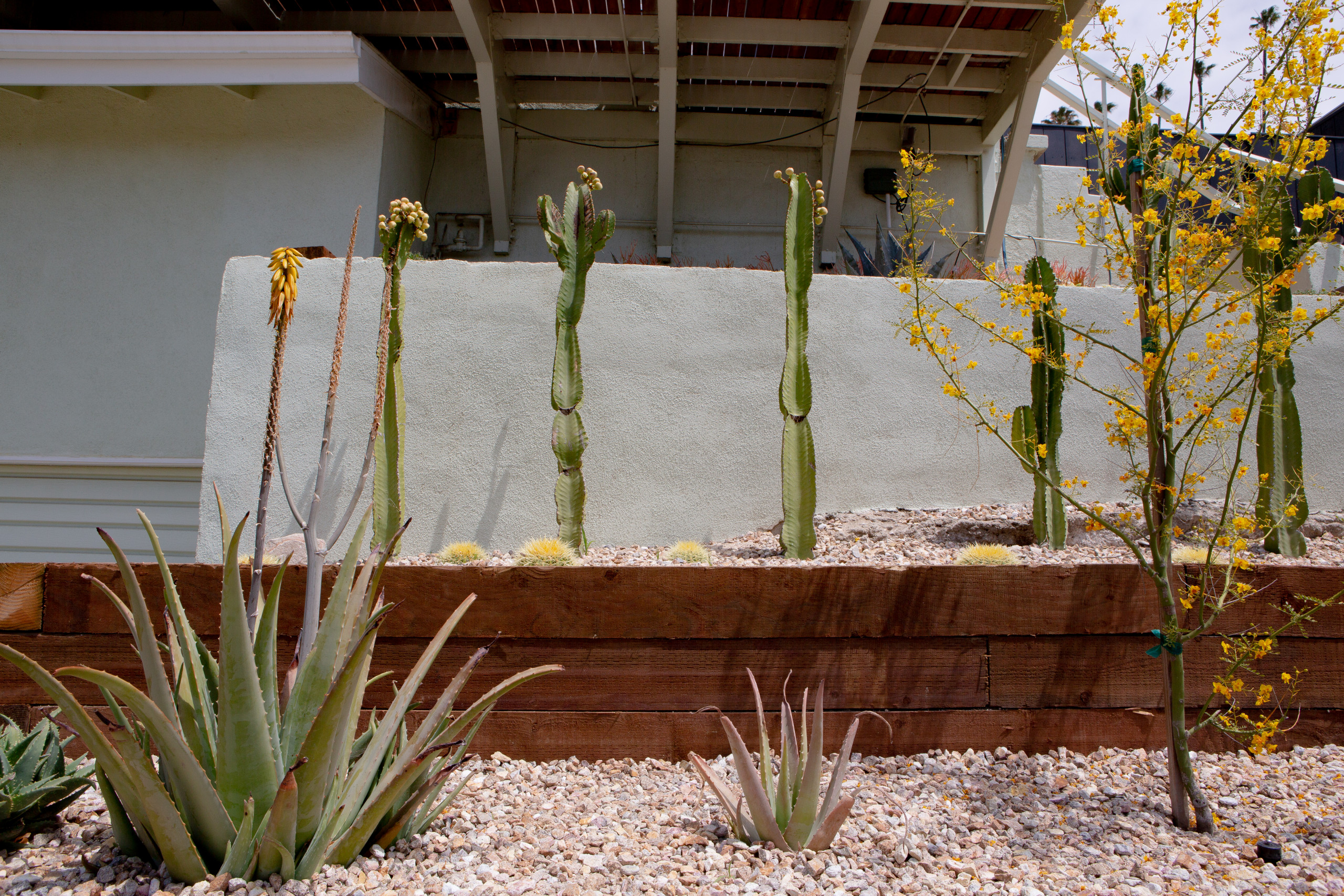 San Pedro, CA: Palm Springs Mid-Mod by the Beach