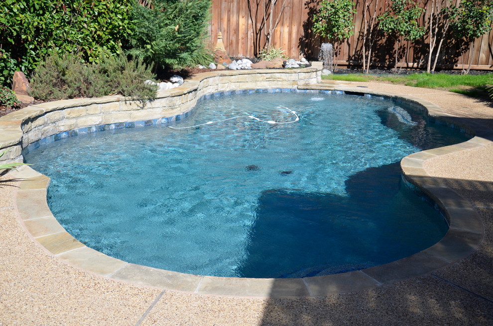 Photo of a mid-sized country backyard custom-shaped pool in Dallas with tile.