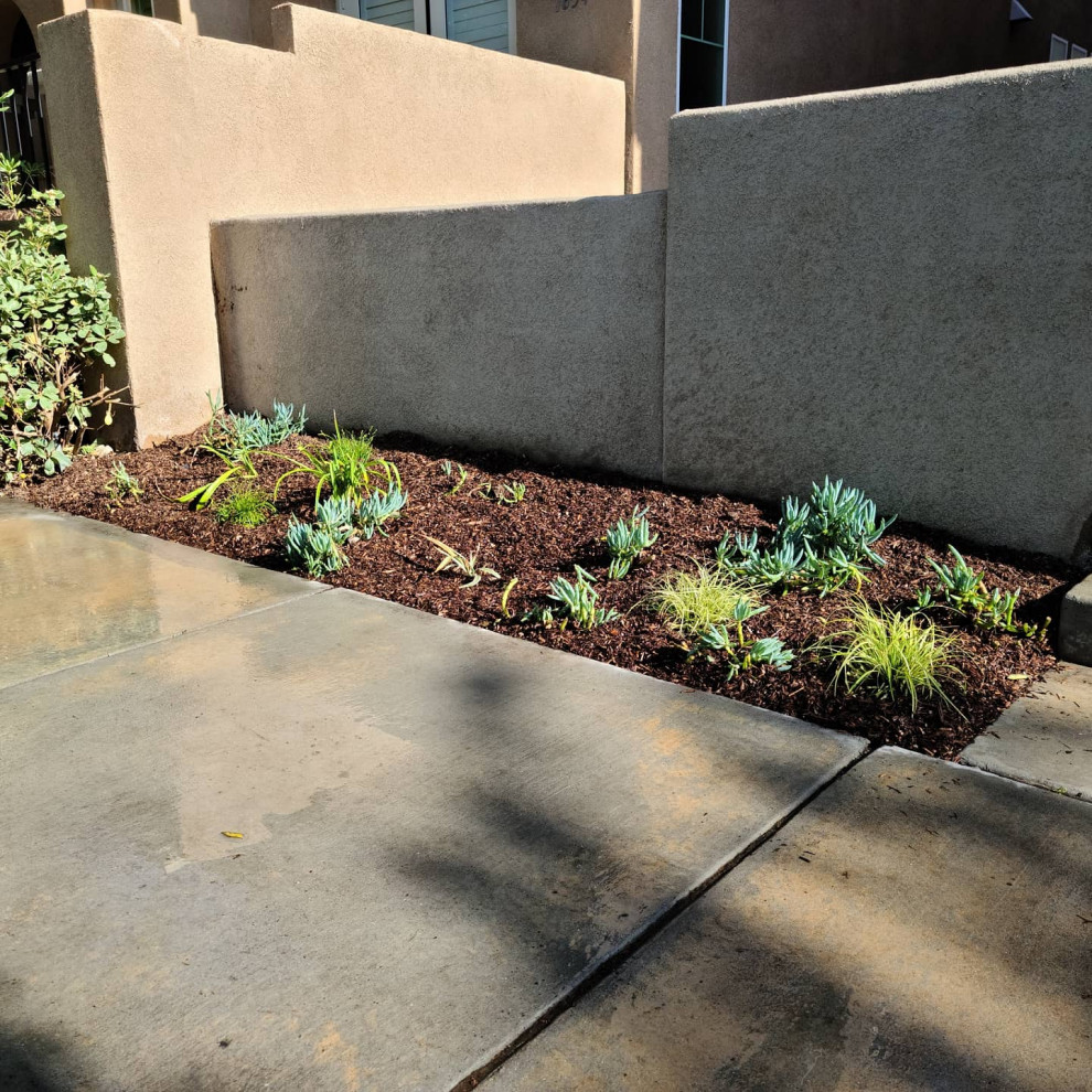 Design ideas for a medium sized classic front xeriscape partial sun garden for summer in San Diego with a garden path and natural stone paving.
