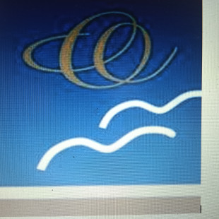 CHATTERJEE CLEANING ARTS SERVICES PVT LT...