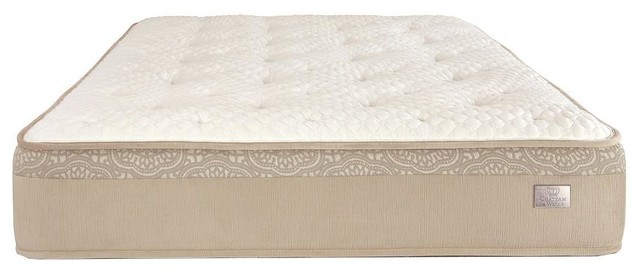 Chattam Wells Hamilton Luxury Firm Mattress Transitional Chattam Wells Hamilton Luxury Firm Twin Mattress