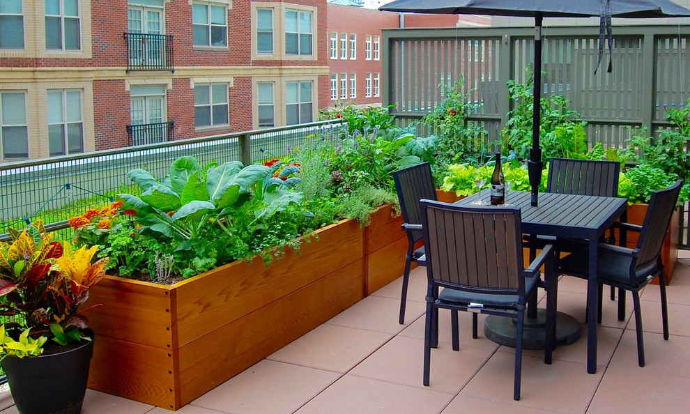 Small modern rooftop full sun garden in Boston with a vegetable garden.