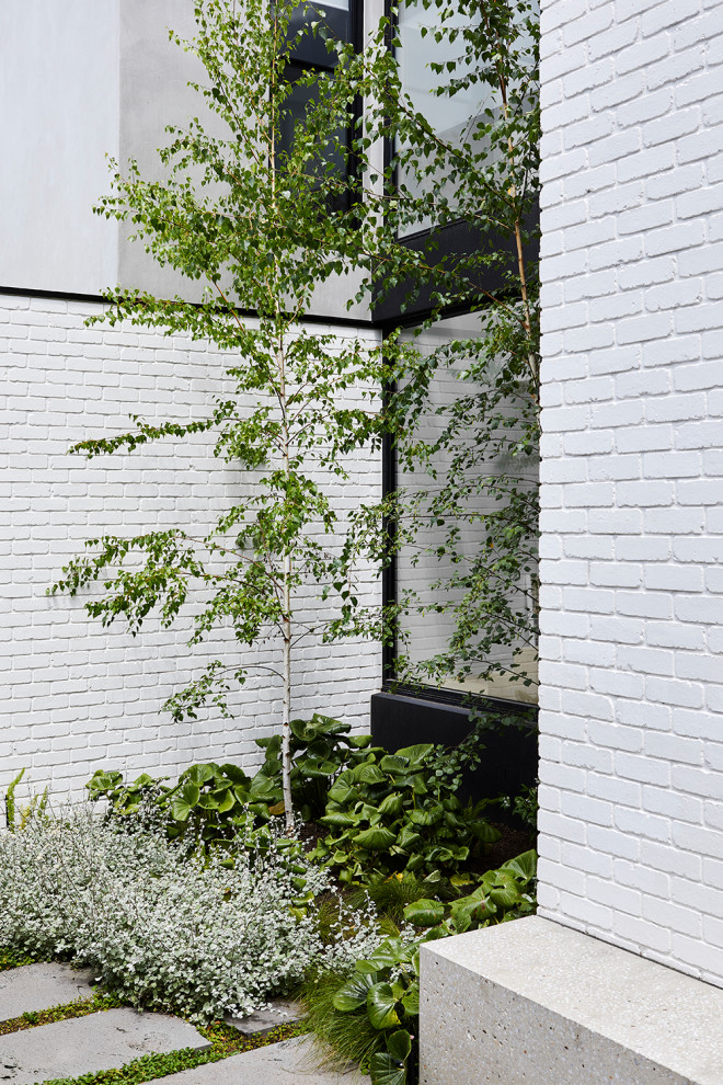 Esempio di un giardino minimalista esposto in pieno sole di medie dimensioni e in cortile