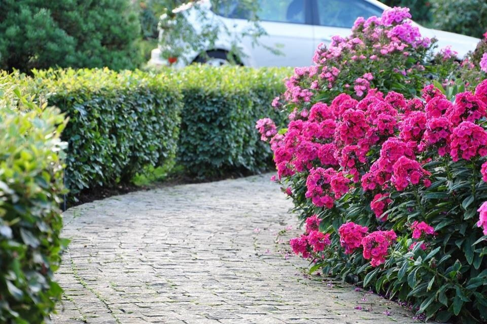 Сенькино московская обл