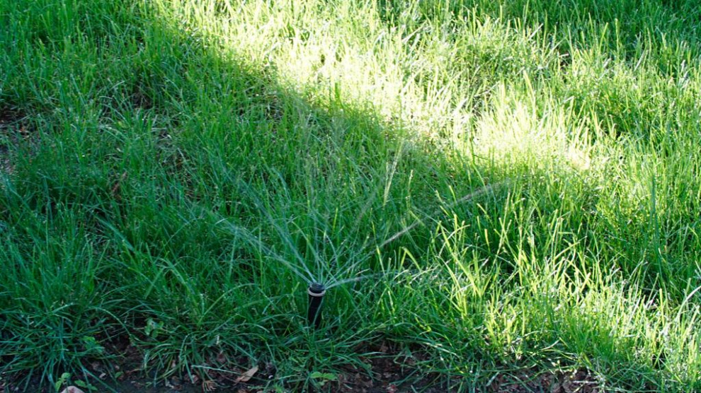 Парк Лога (Ростовская область)