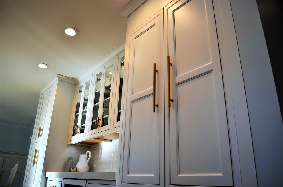 Inspiration for a transitional home design remodel in Chicago
