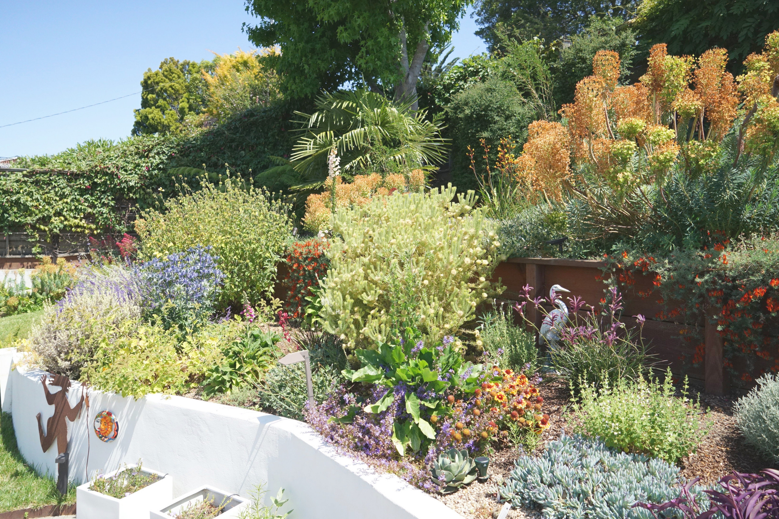 Terrace Garden View