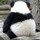leosun7298