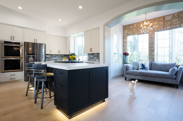 Coastal Contemporary trendy-koekken
