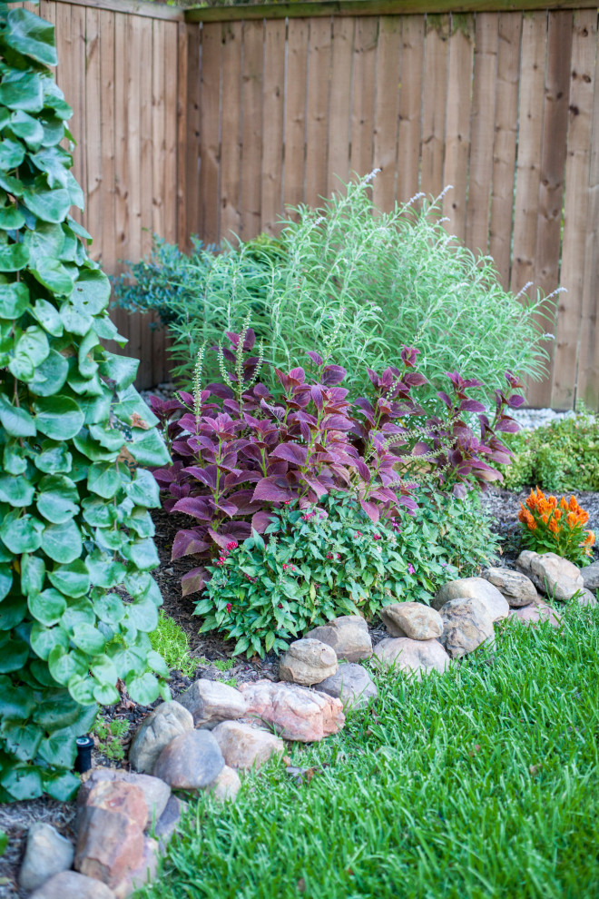 Photo of a mid-sized transitional full sun backyard formal garden in Dallas.