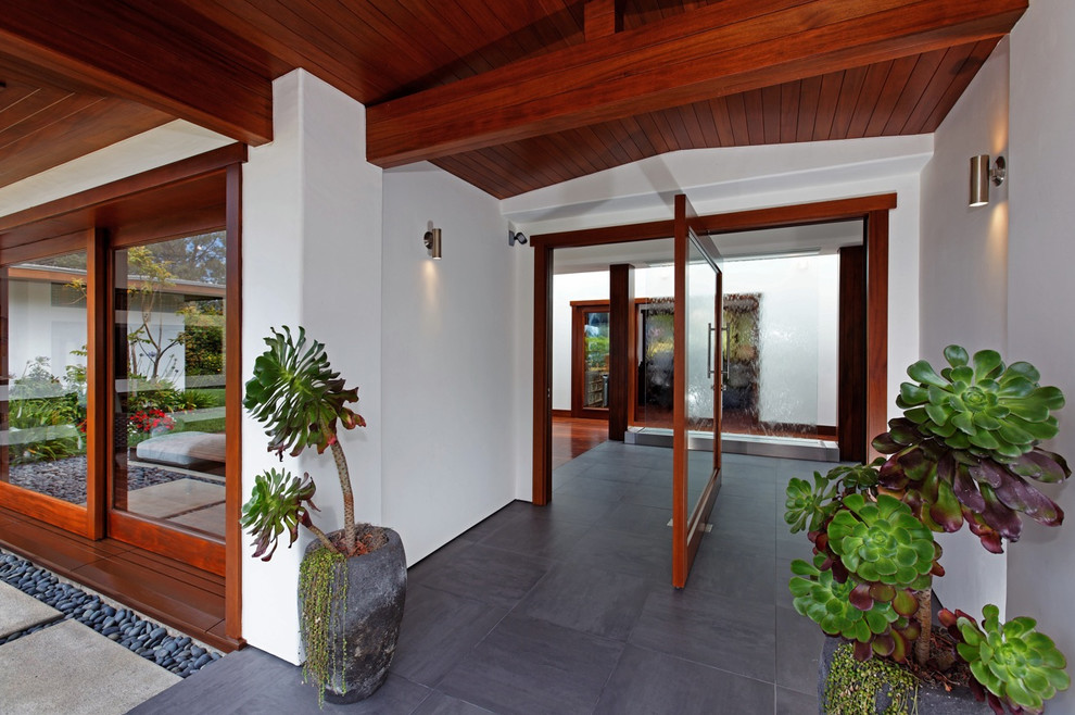 Design ideas for a tropical front door in San Diego with a pivot front door and a glass front door.