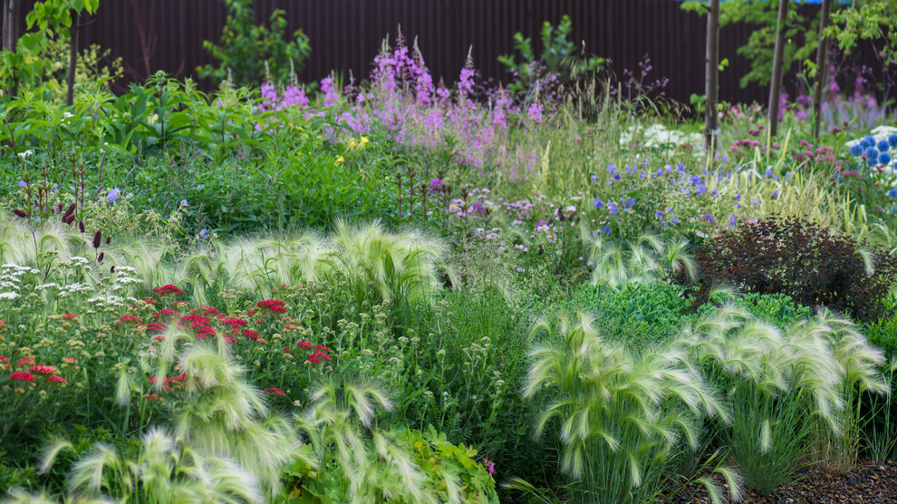Цветник в  природном стиле  (" New Perennials"  или "Новая волна")