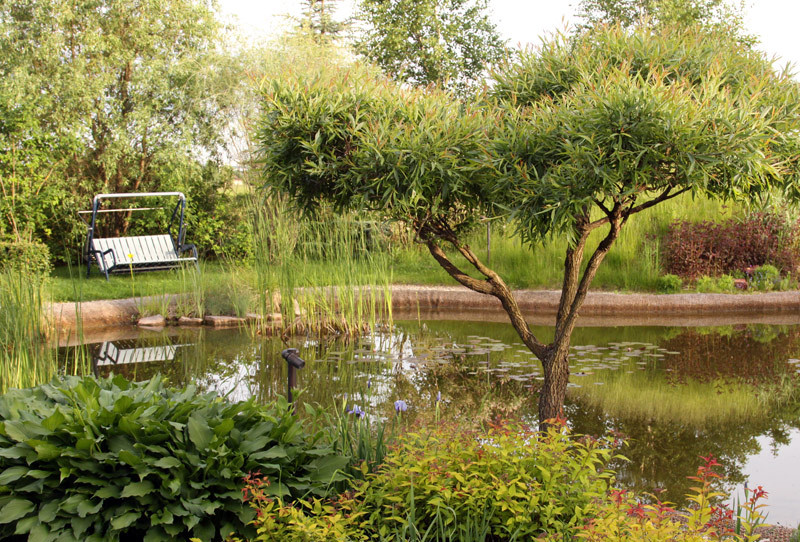 Большой сад для дружной семьи