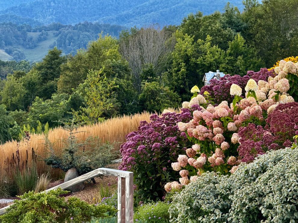 Inspiration for an eclectic landscaping in Charlotte.