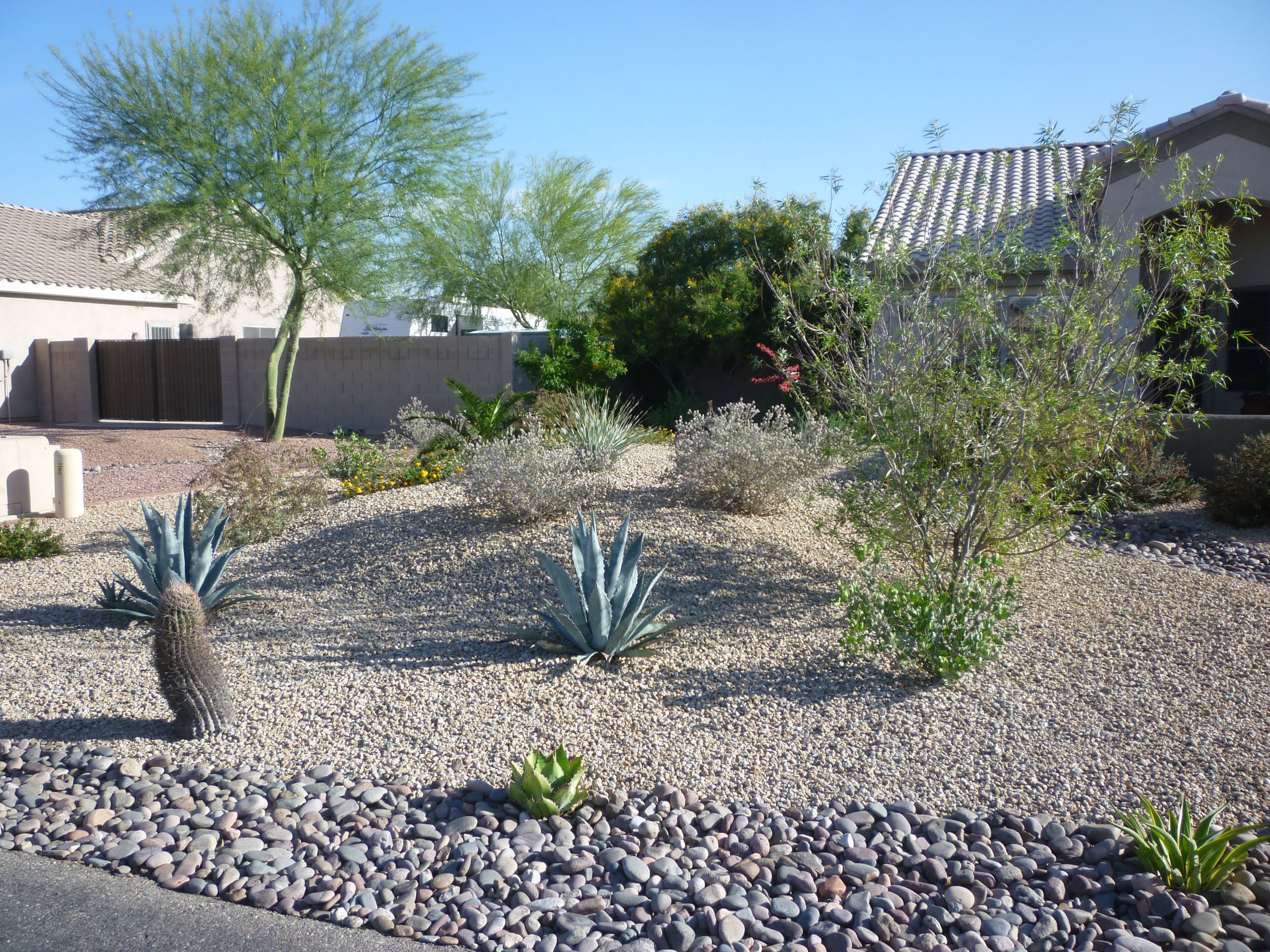 Front Plantings - 1.5 Years