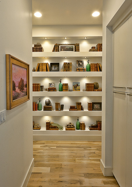 Cat Mountain contemporary-hall