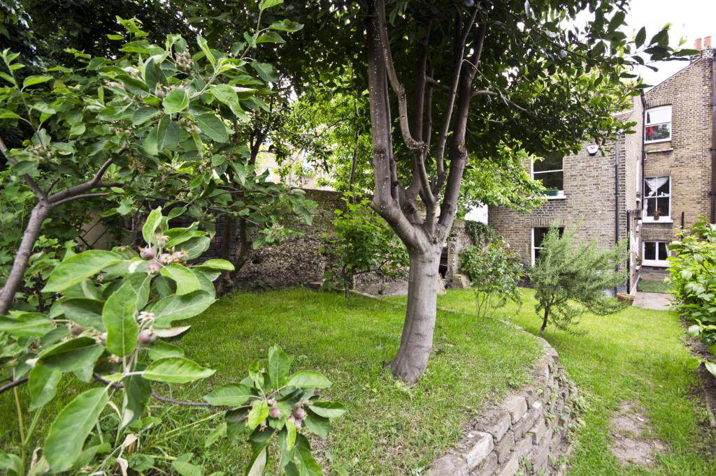 garden, London town house