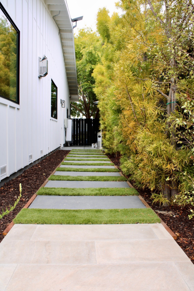 Monochromatic Burlingame Backyard