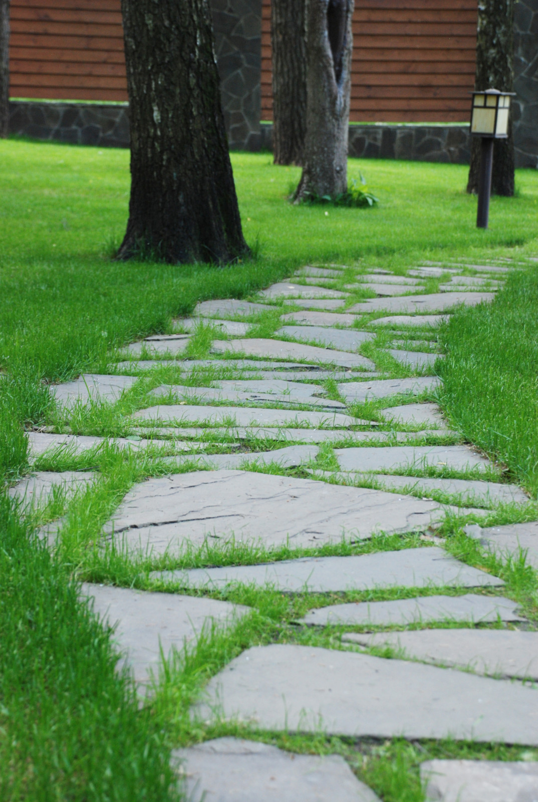 Лесной участок в КП "РИИТА"