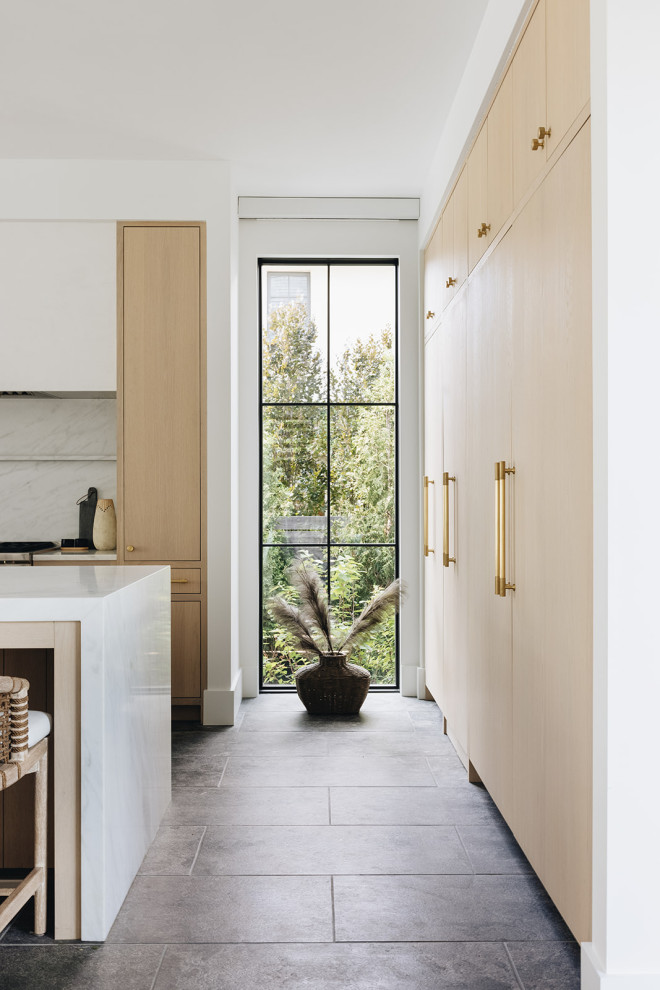 Example of a transitional home design design in Chicago