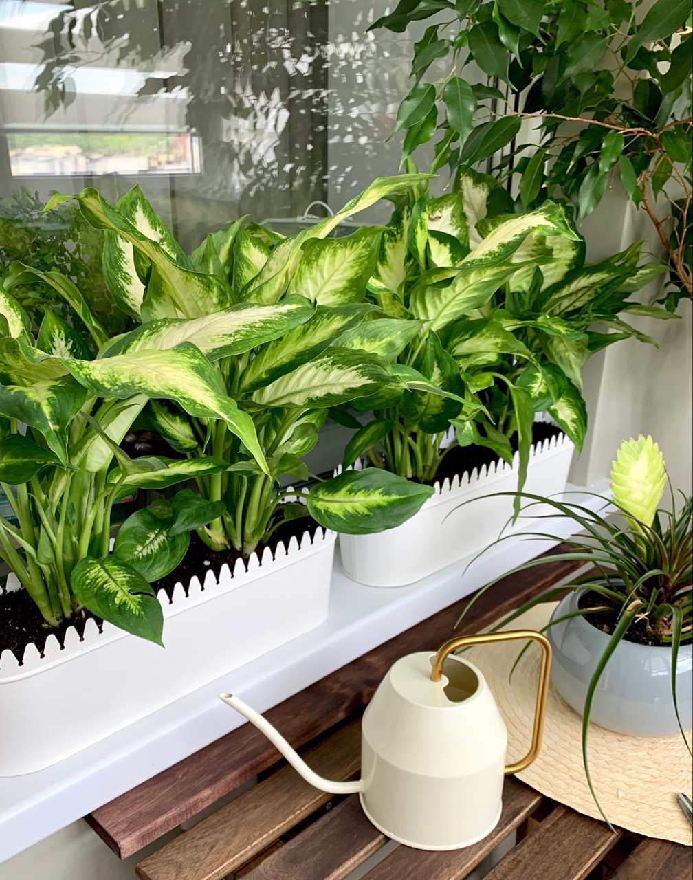 Уютное пространство