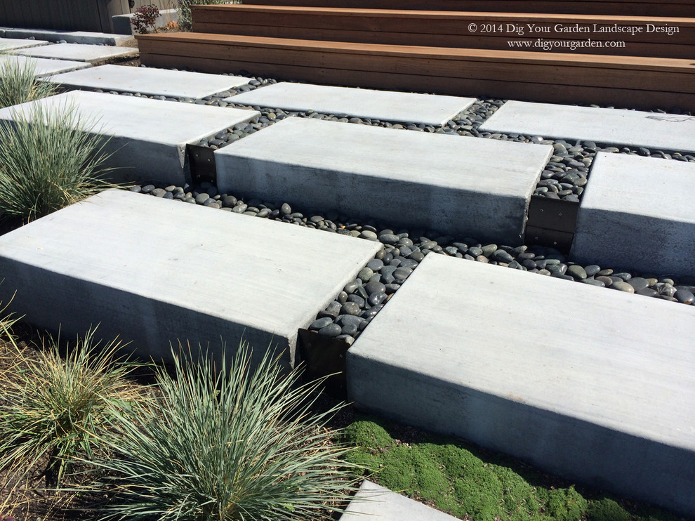 This is an example of an expansive contemporary backyard full sun xeriscape for fall in San Francisco with concrete pavers.