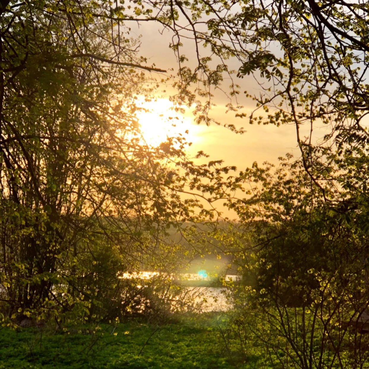 Пермакультурная агроусадьба. Рыбные пруды