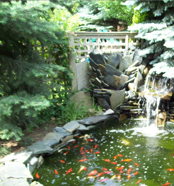 Photo of a large asian backyard garden in Detroit.