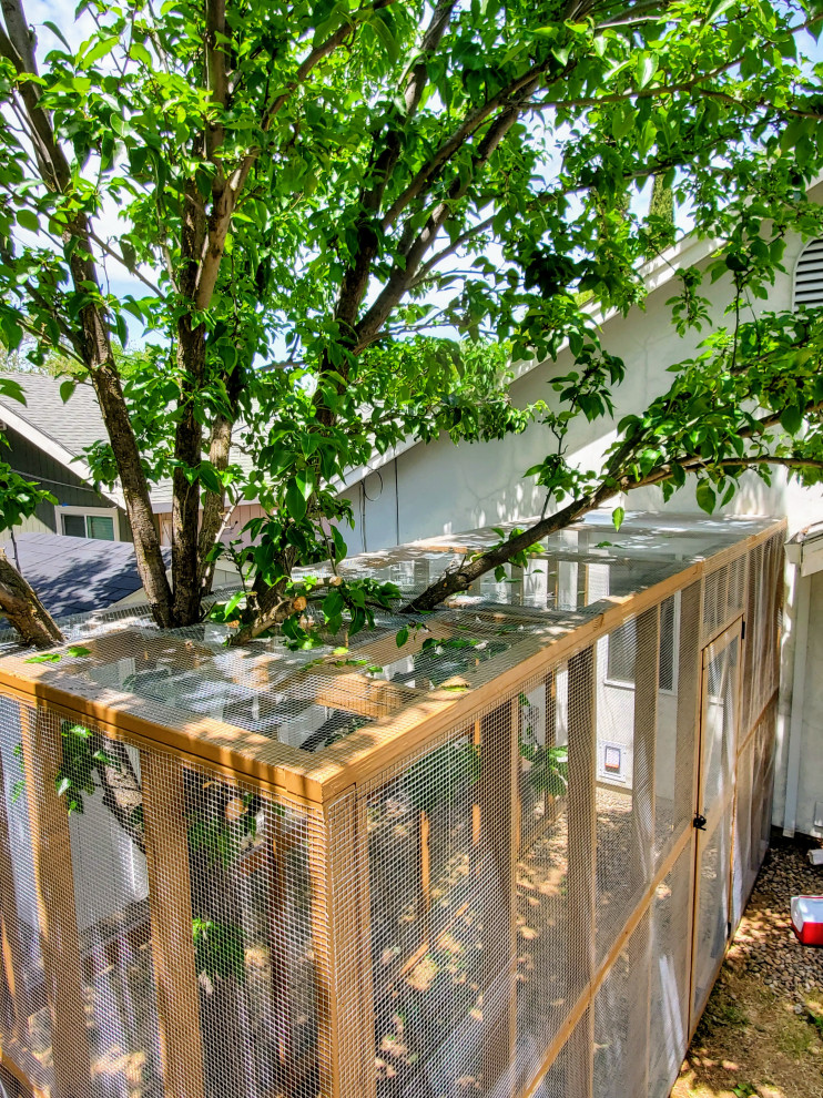 Custom Catio (Cat Patio)