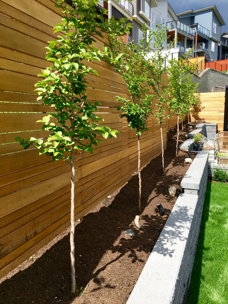 Idee per un giardino moderno esposto in pieno sole e stretto di medie dimensioni in primavera con recinzione in legno, un pendio, una collina o una riva e pacciame
