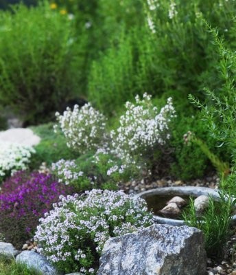 Referens bilder landstil-have