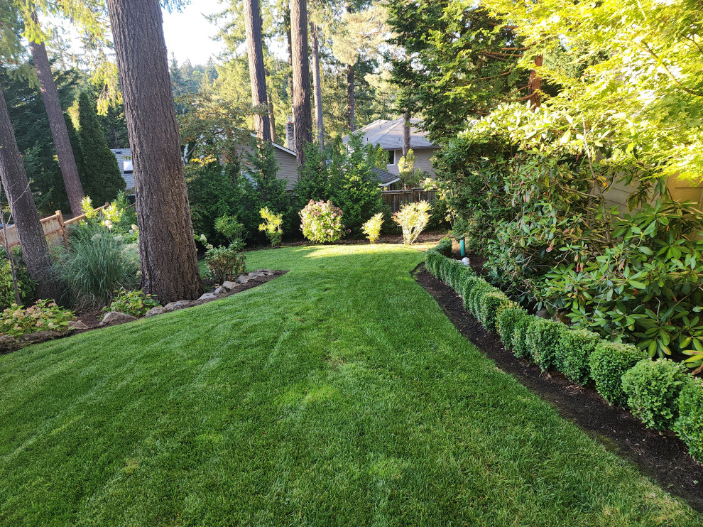 Beautiful Backyard Oasis