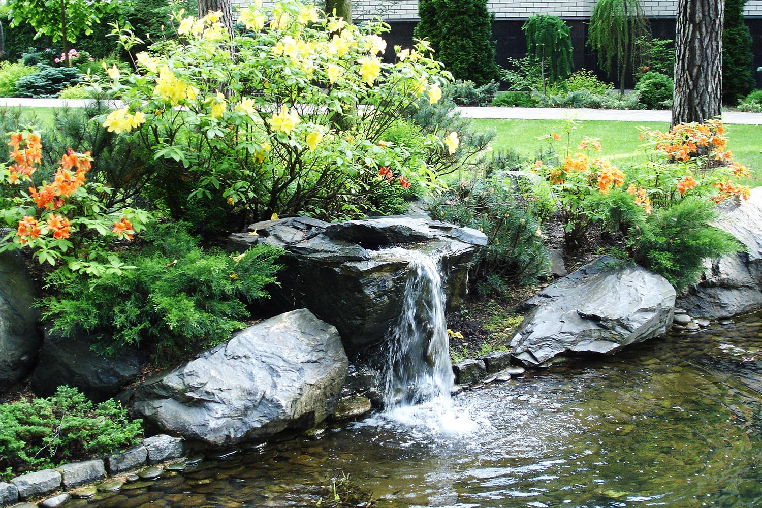 Сад с водоемом в КП " Сосновый Бор"
