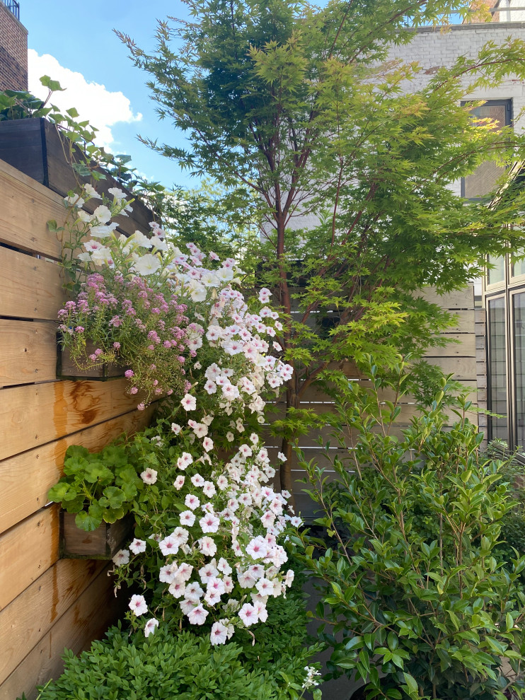 UWS Townhouse Terrace
