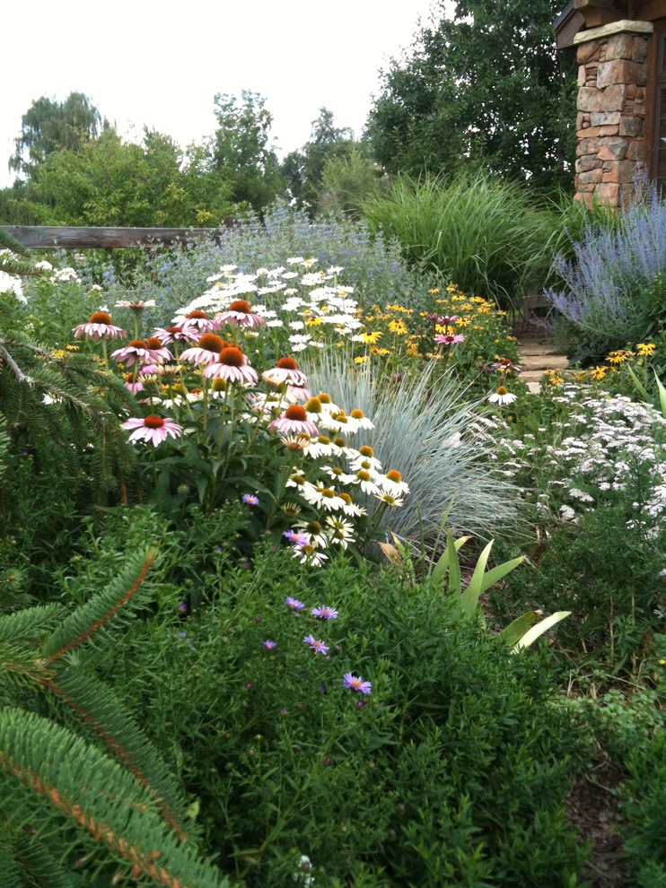 Design ideas for a traditional garden for summer in Denver.