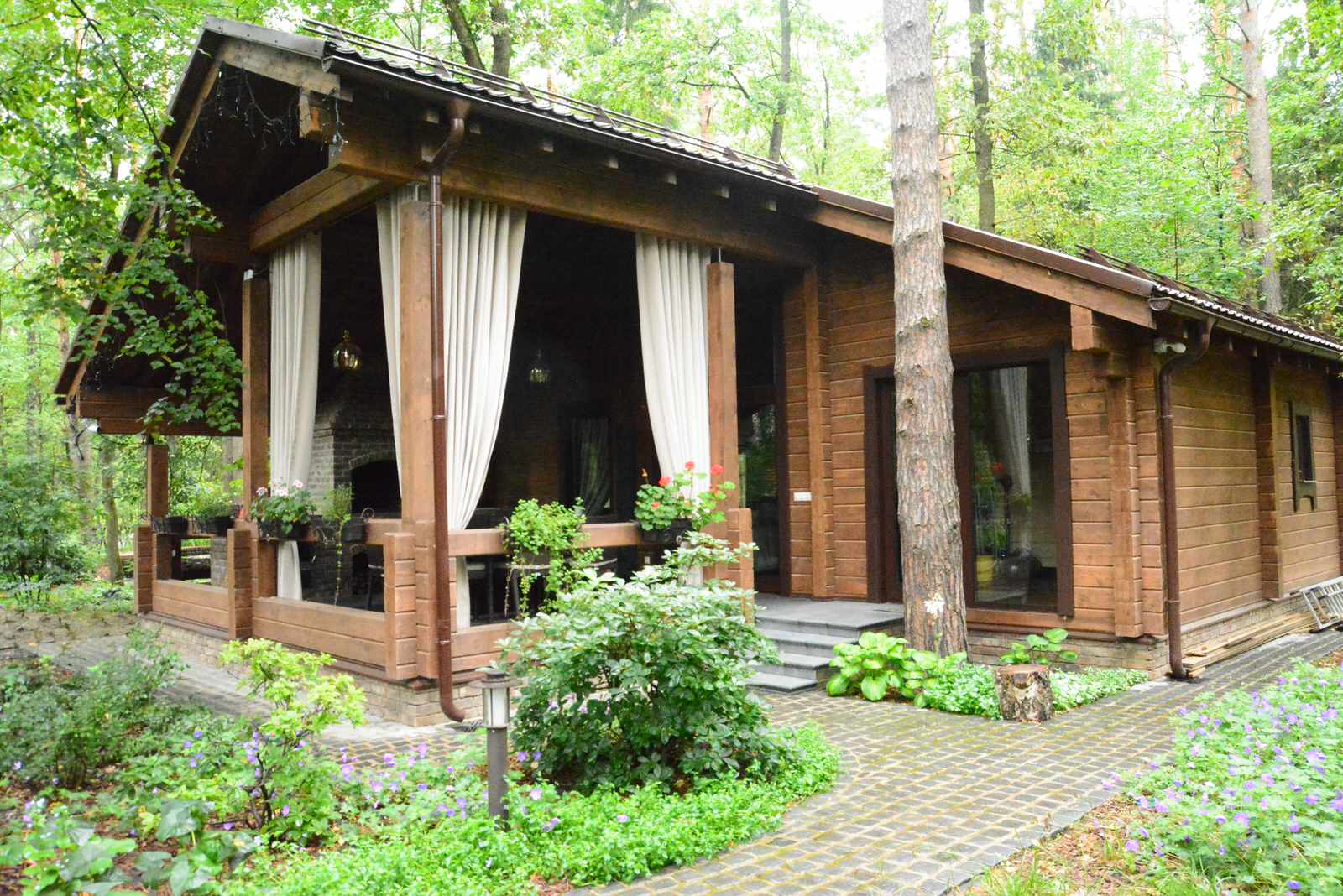 Заповедный бор