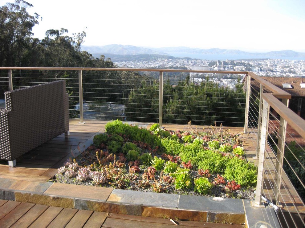 Photo of a contemporary deck in San Francisco.