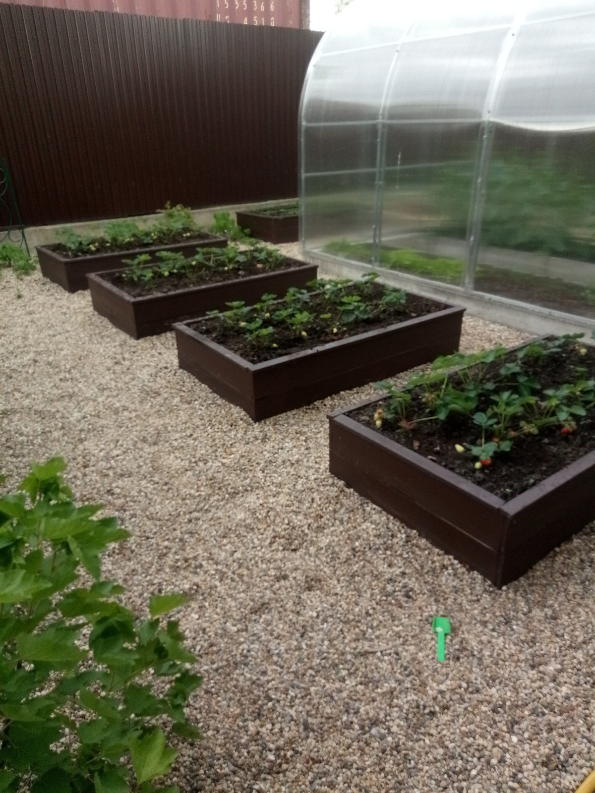 Зелёное удовольствие