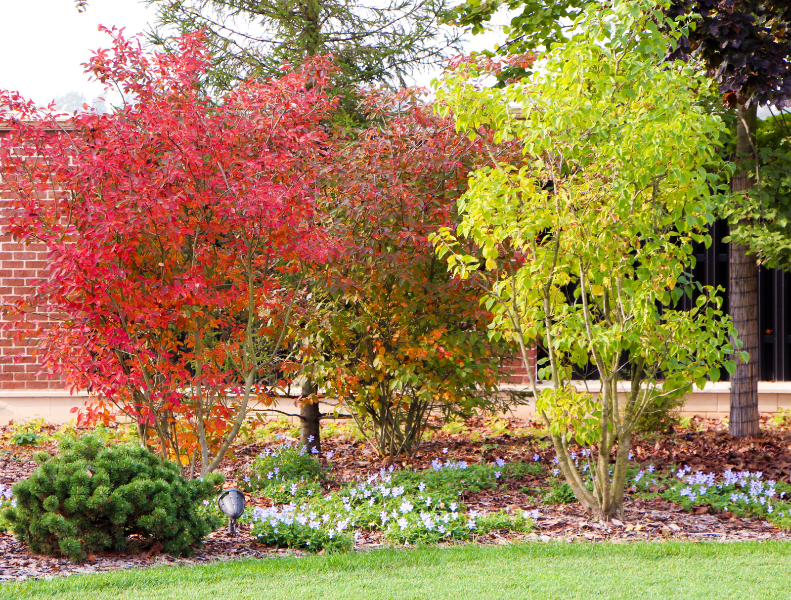 Горки-10, 2017-2020 г.г.