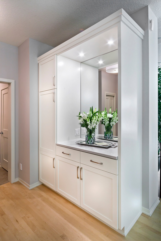 Transitional kitchen photo in Minneapolis