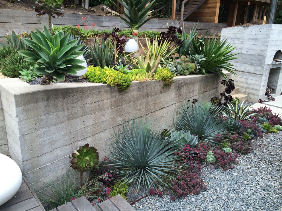 Inspiration for a contemporary garden in San Francisco.